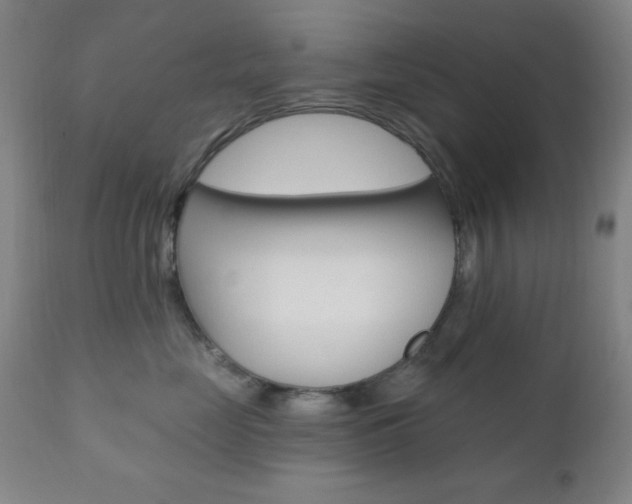 X0000110940669200906191052