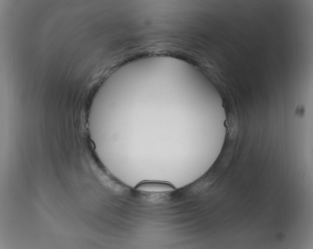 X0000110940670200906191052