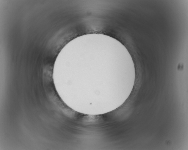 X0000110940672200906191052