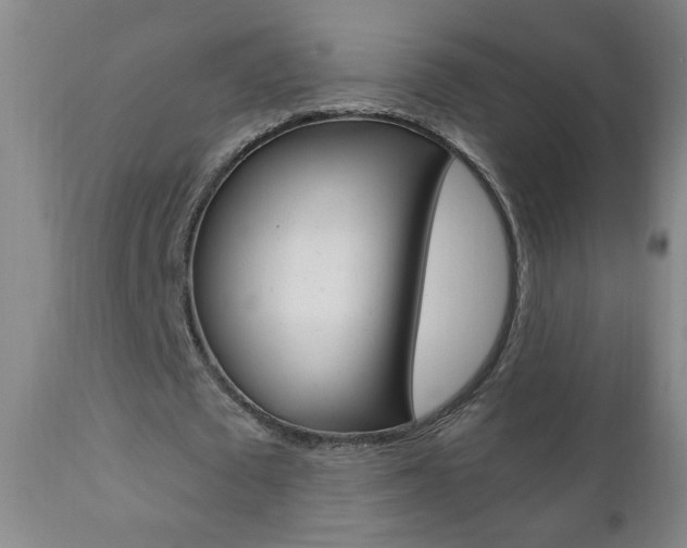 X0000110940673200906191051