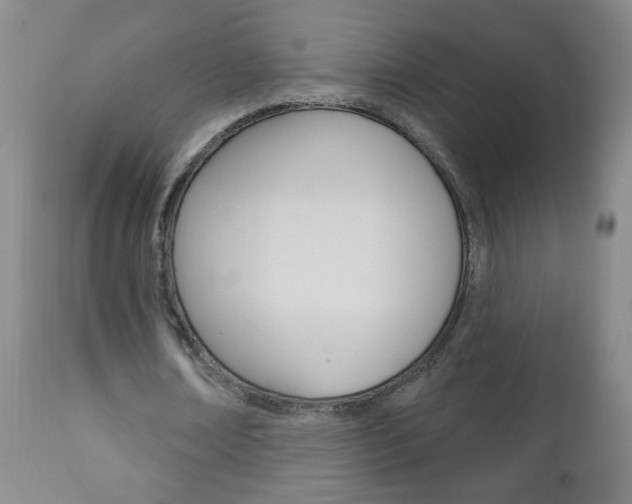 X0000110940674200906191051