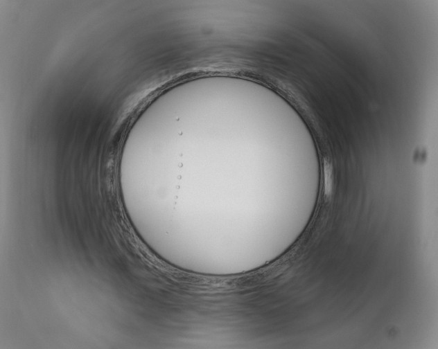 X0000110940675200906191051