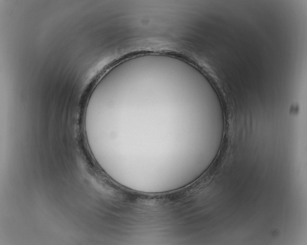 X0000110940679200906191051