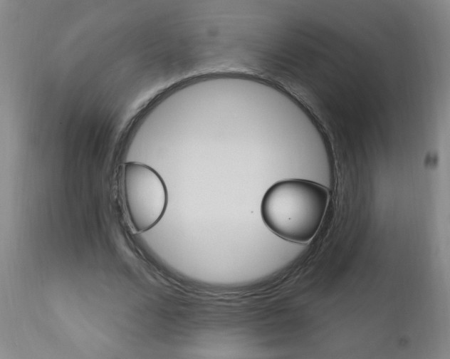 X0000110940680200906191051