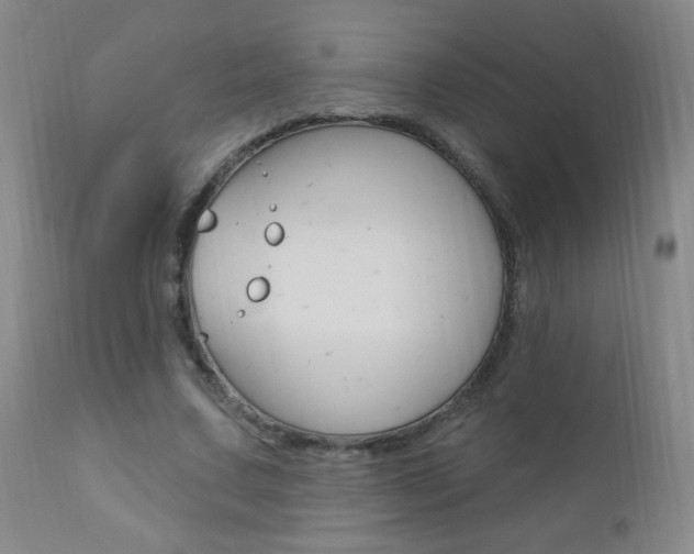 X0000110940683200906191051