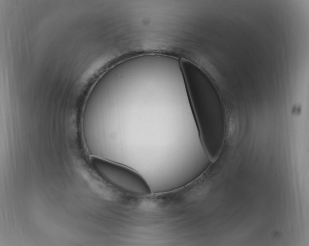 X0000110940684200906191051