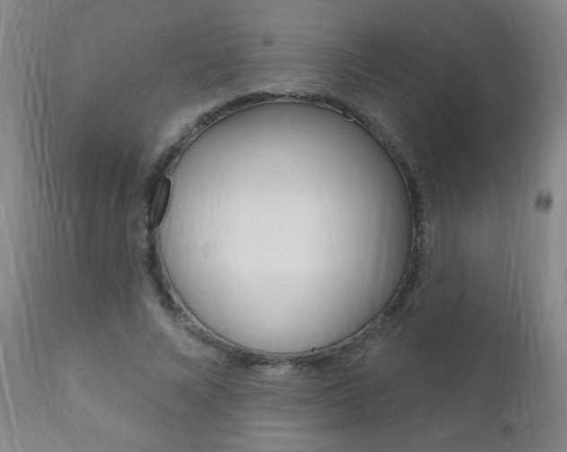X0000110940688200906191051