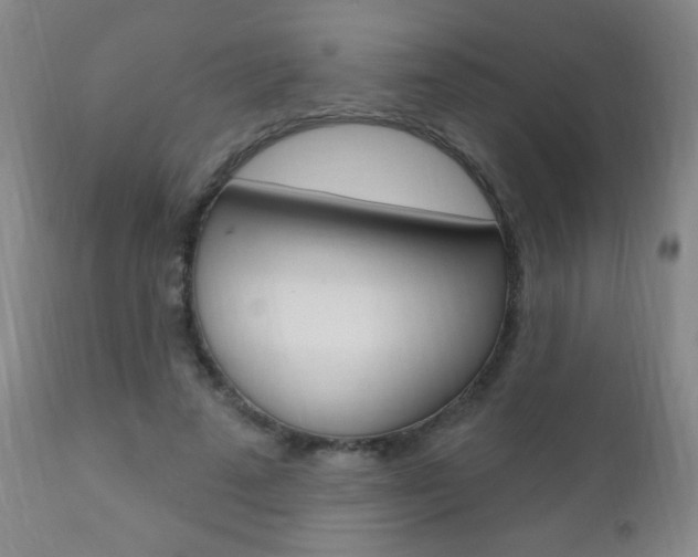 X0000110940689200906191051