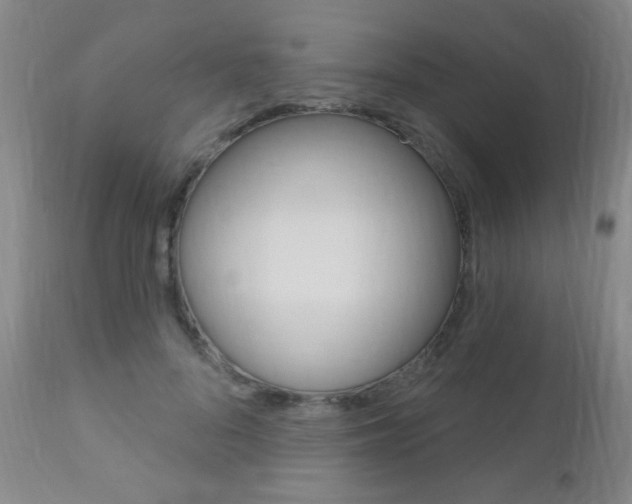 X0000110940696200906191051