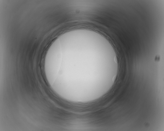 X0000110940701200906191051