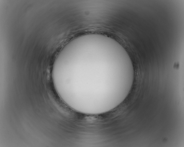 X0000110940703200906191050