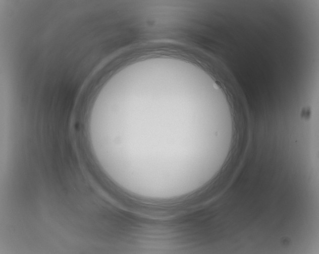 X0000110940705200906191050