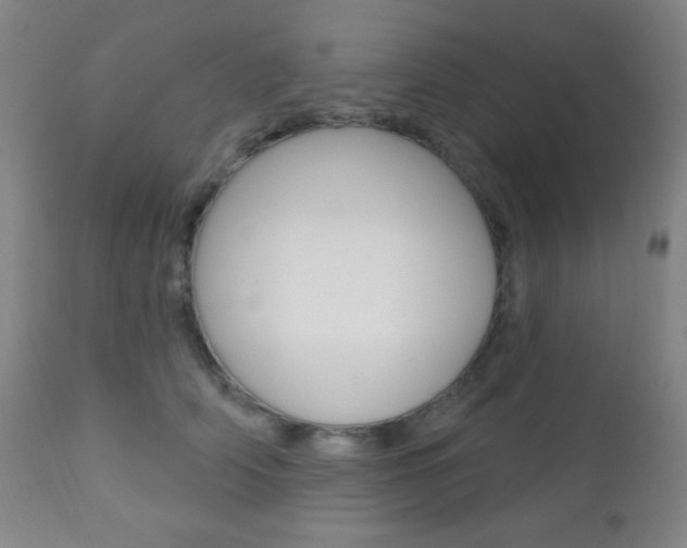 X0000110940706200906191050
