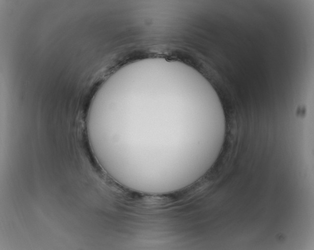 X0000110940707200906191050