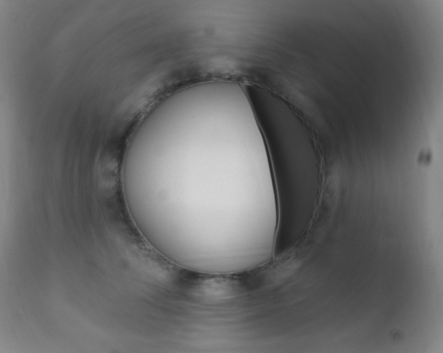X0000110940708200906191050