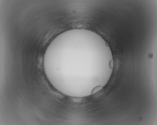 X0000110940709200906191050