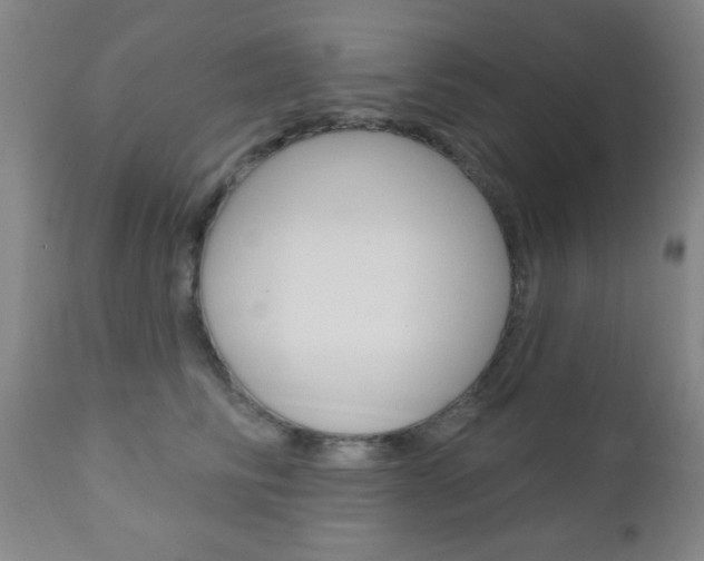 X0000110940710200906191050