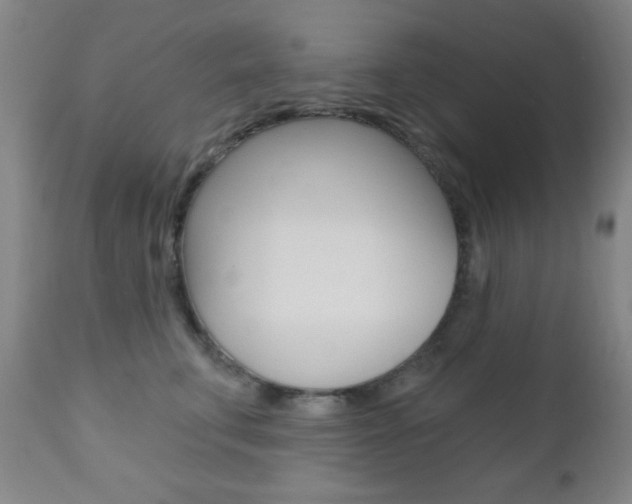 X0000110940711200906191050