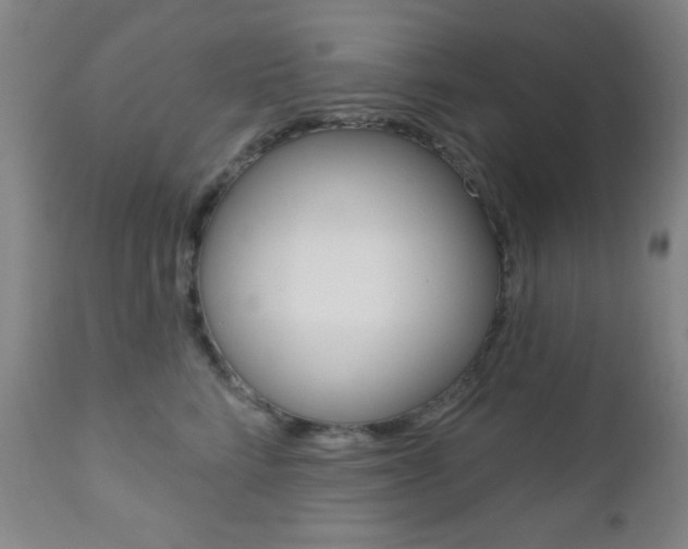 X0000110940712200906191050