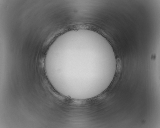 X0000110940713200906191050