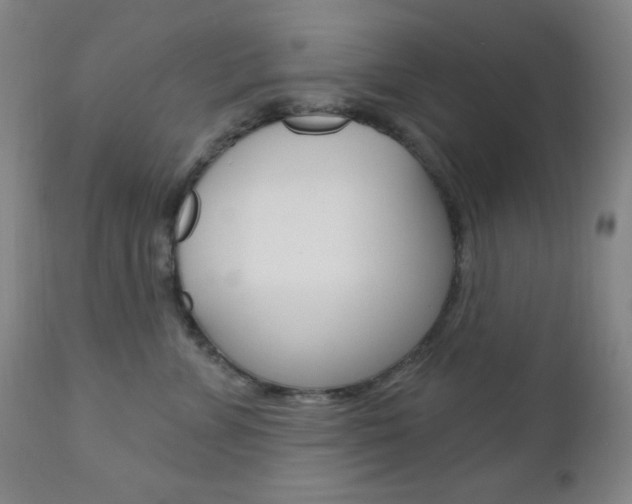 X0000110940715200906191050