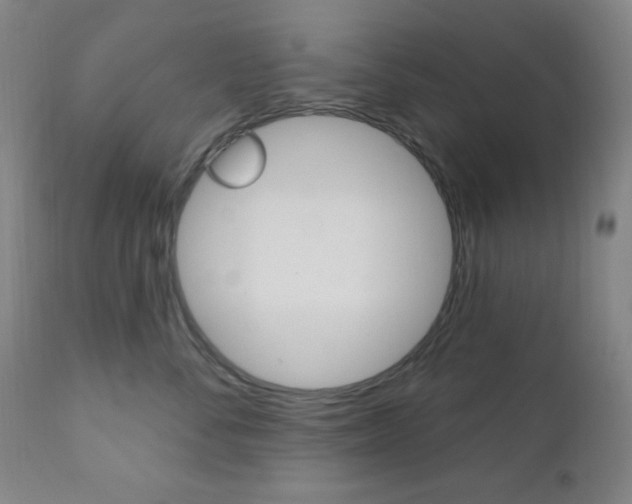 X0000110940716200906191050