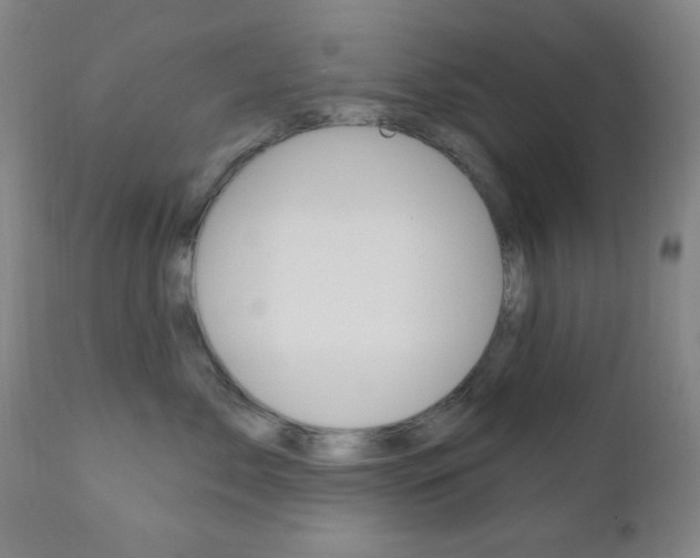 X0000110940717200906191050