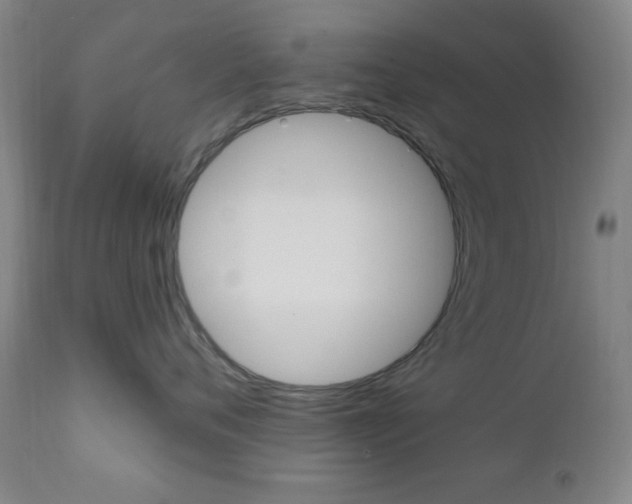 X0000110940720200906191050