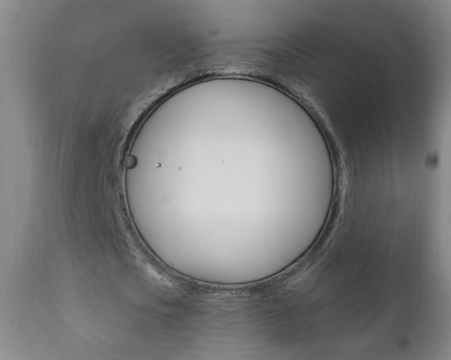 X0000110940721200906191049