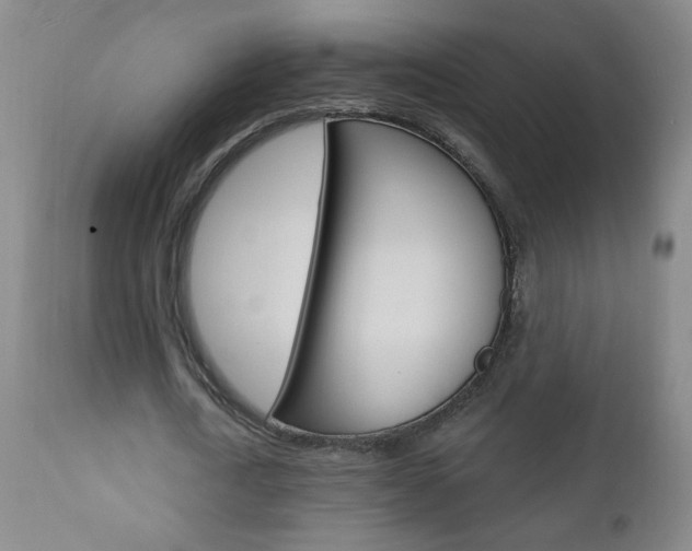 X0000110940722200906191049