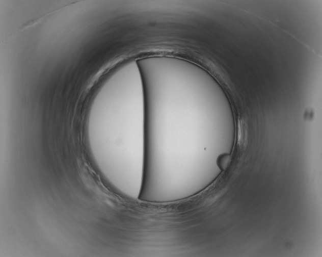 X0000110940723200906191049