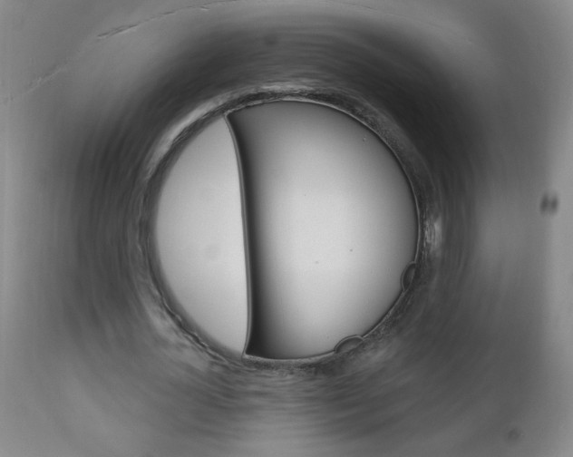 X0000110940724200906191049