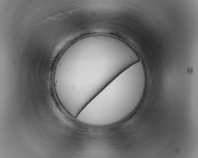 X0000110940725200906191049