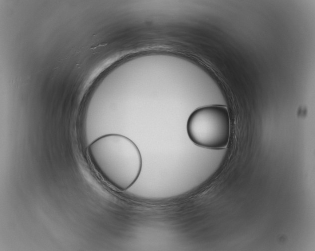 X0000110940726200906191049
