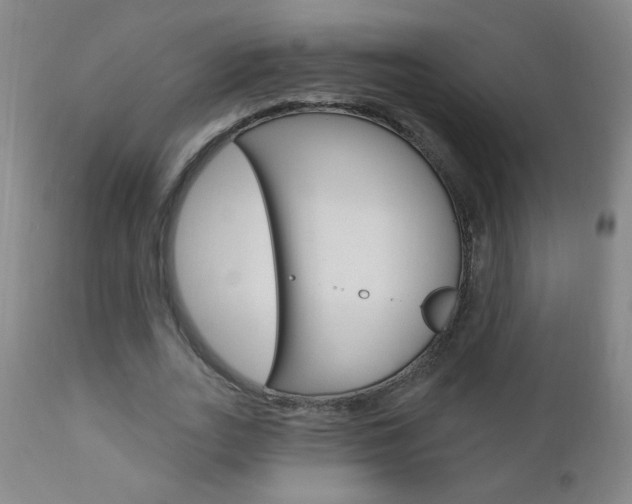 X0000110940727200906191050