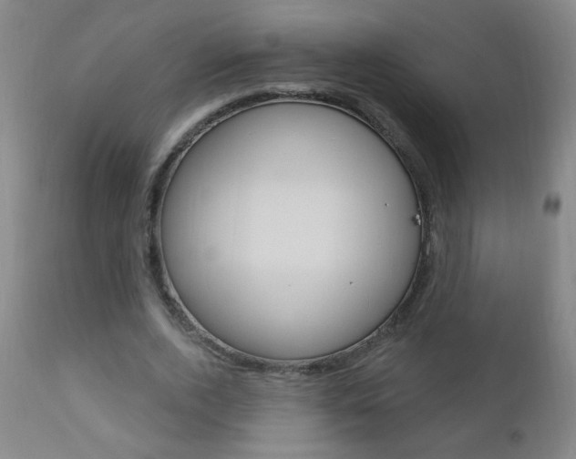 X0000110940728200906191050