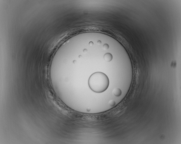X0000110940729200906191050