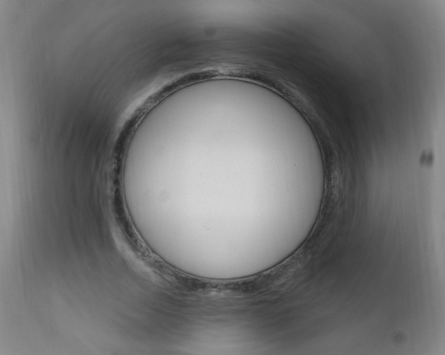 X0000110940730200906191050
