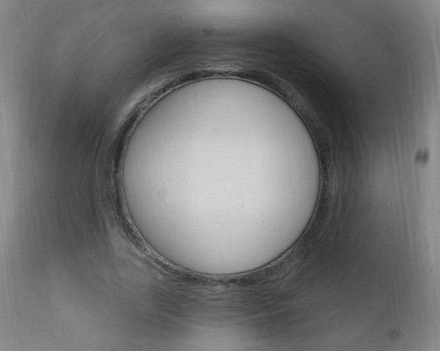 X0000110940731200906191050
