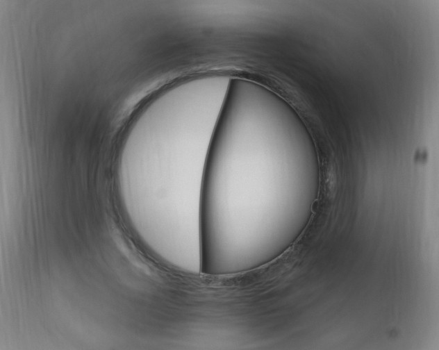 X0000110940732200906191050