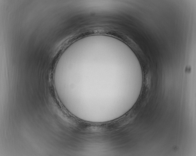X0000110940733200906191050
