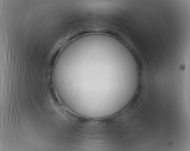X0000110940736200906191050