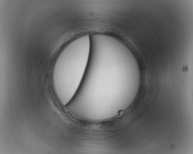 X0000110940738200906191050