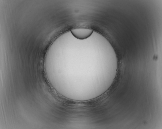 X0000110940741200906191050