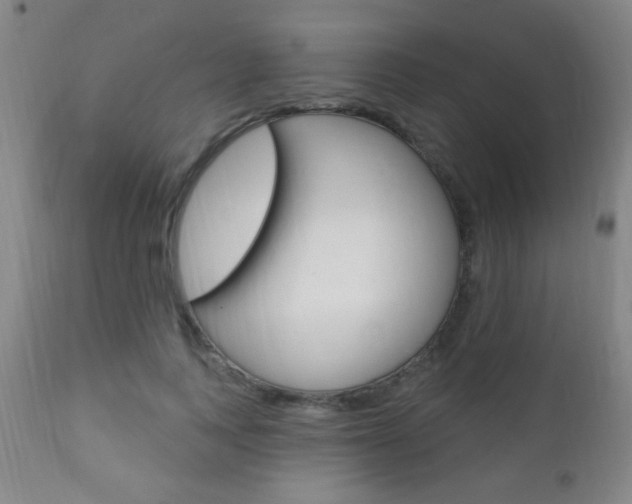 X0000110940743200906191050