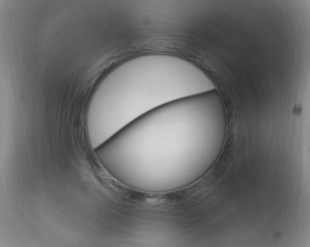 X0000110940744200906191050