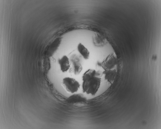 X0000110940745200906191050