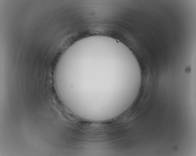 X0000110940749200906191050