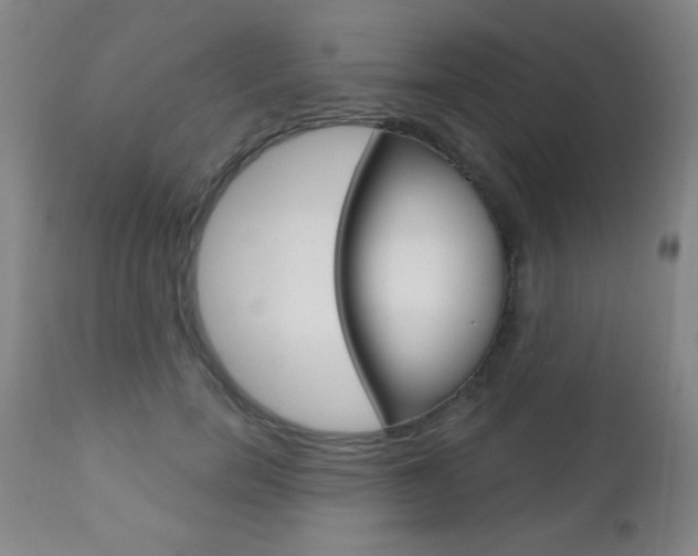 X0000110940750200906191050