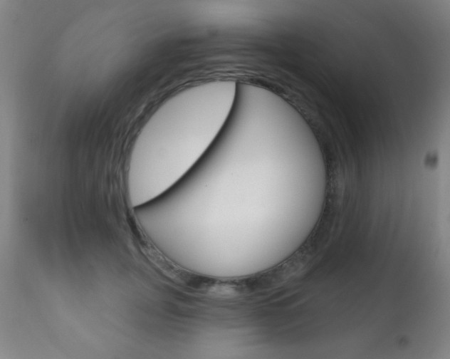 X0000110940751200906191050